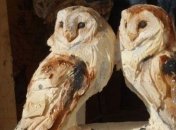 Реалистические скульптуры из дерева от немецкого художника (Фото)