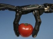 Ученые показали, как работают искусственные мышцы (Видео) 