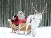 Новый год для детей: сколько стоит заказать Деда Мороза и Снегурочку