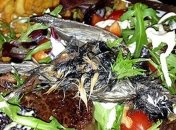 Супруги нашли в своем салате мертвую птицу