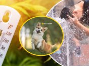 Погода в Украине