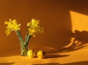 Лимоны имеют резких и отпугивающий запах для насекомых