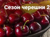 Червяки - знак качества: что нужно знать при выборе черешни (инфографика)