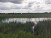 Шацький нацпарк оновив "Три озера"