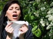 Советы для людей, страдающих аллергией на пыльцу растений 