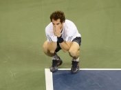 Энди Маррей: Немного поплакал на корте – от невероятного счастья