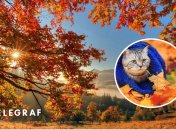 Погода осінню