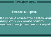 Минутка веселья: подборка анекдотов для удачного дня