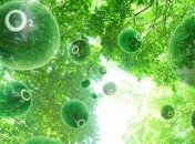 Исследователи определили скорость фотосинтеза