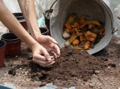 Помните, что компостная яма - это не свалка