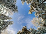 Зимове сонцестояння 2024 року — що не можна робити 21 грудня