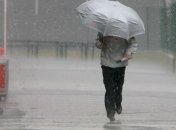 В Швеции лето ставит "дождливые" рекорды 