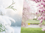 Наприкінці квітня в Сумах випав сніг