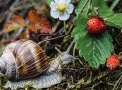 Какие завтра праздники: традиции и приметы на 24 июня