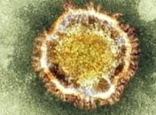 ВОЗ: Смертельный коронавирус распространяется по всей Европе