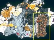 В марсианском метеорите нашли микробные структуры