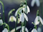 Погода в Україні: прогноз погоди на найближчі дні