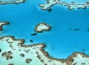 Большой Барьерный риф может исчезнуть? Что заявили в ЮНЕСКО