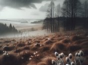 Погода навесні