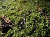 Место происшествия