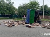 Неймовірна подорож свинини черкаськими дорогами