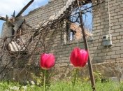 ООН: На Донбассе рекордное число погибших за год