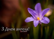 Разобрались, кого поздравляем с Днем ангела 6 июня