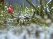 Неутешительный прогноз синоптиков: сколько еще будет бушевать холод в Украине 