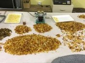 Волынские правоохранители изъяли 200 кг янтаря