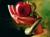 Ученые: Человеческая еда превращается в яд