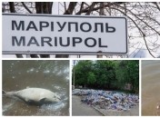 Свалки мусора и трупы рыбешек – признак не лучшей экологии