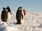 Китайский беспилотник совершил первый облет Южного полюса  