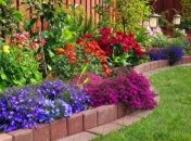 Креативные идеи по ландшафтному дизайну для начинающих (Фото)