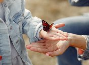 Гороскоп на липень-2022 для Козорогів, Левів та Терезів