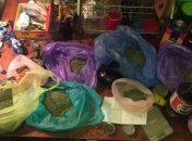 В Харькове разоблачили группу наркодельцов, в которую входил полицейский (Фото)