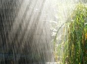 Прогноз погоды на 15 июня: кратковременные дожди на северо-западе