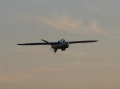 "Лелека-100" в воздухе