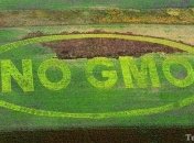 Минагрополитики: Украине рано либерализовать ГМО