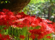 Разобрались, кого поздравляем с Днем ангела 14 августа