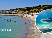 В Украине произошел забавный курьез на море