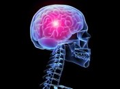 Ученые рассекретили механизм "мозгового спидометра"