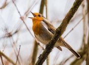 Война тепла и холода: прогноз погоды на первый день весны