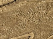 Ученые обнаружили более 140 новых знаков на плато Наска