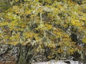 Люди, родившиеся осенью, - потенциальные долгожители