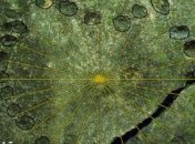 В Украине нашли самые древние часы в мире 