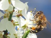 Какой праздник 30 апреля: народные приметы и запреты