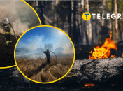 Иллюстративное изображение