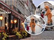 У Львові мавпі-аніматору відірвали хвоста