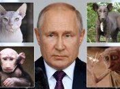У російського диктатора багато схожого з тваринами і не тільки
