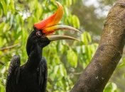 Воспитанница Пражского зоопарка установила новый мировой рекорд